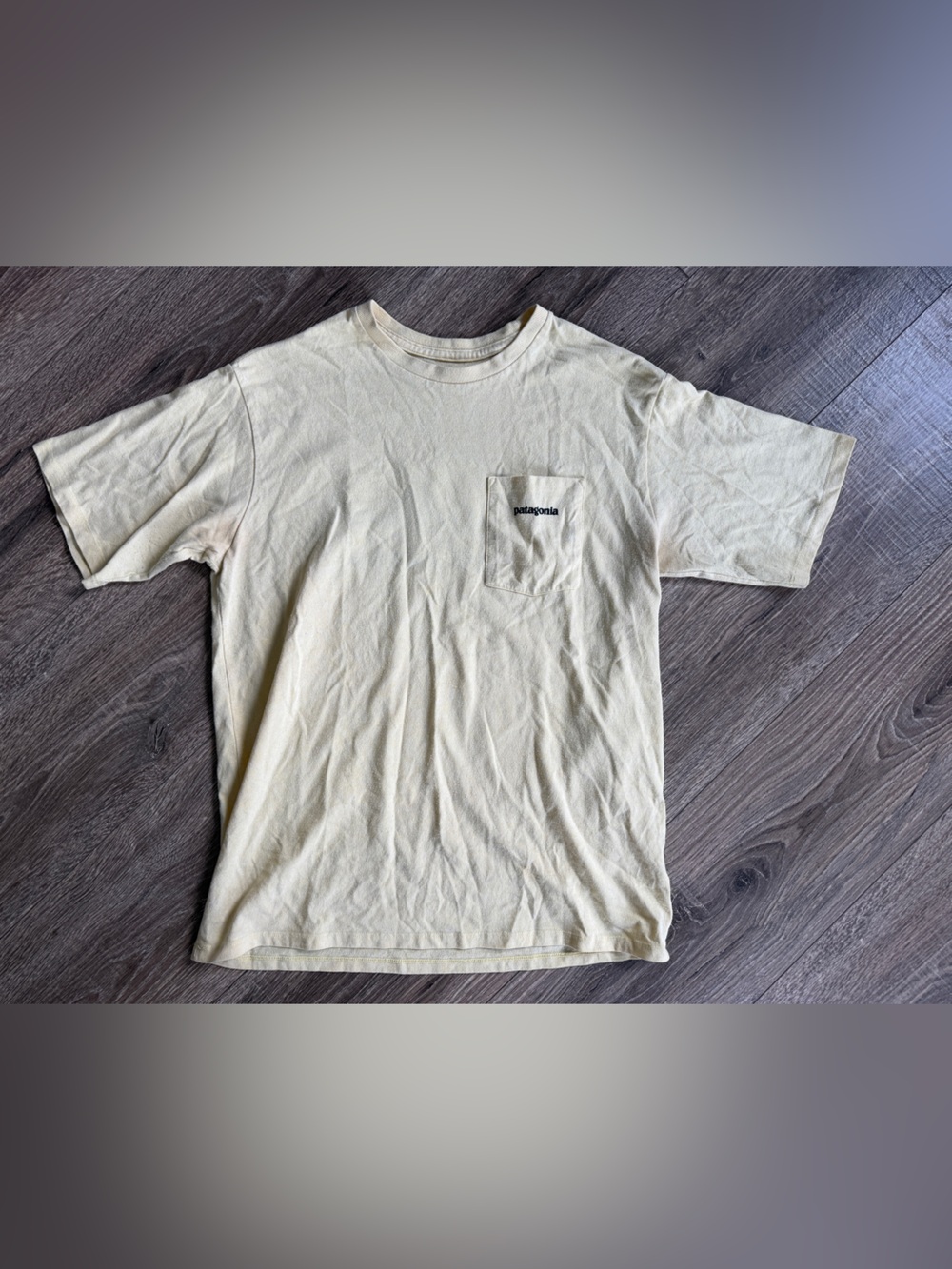 Men’s Patagonia Shirt